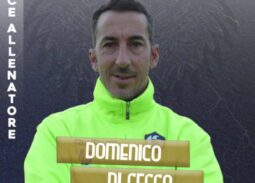 Domenico Di Cecco